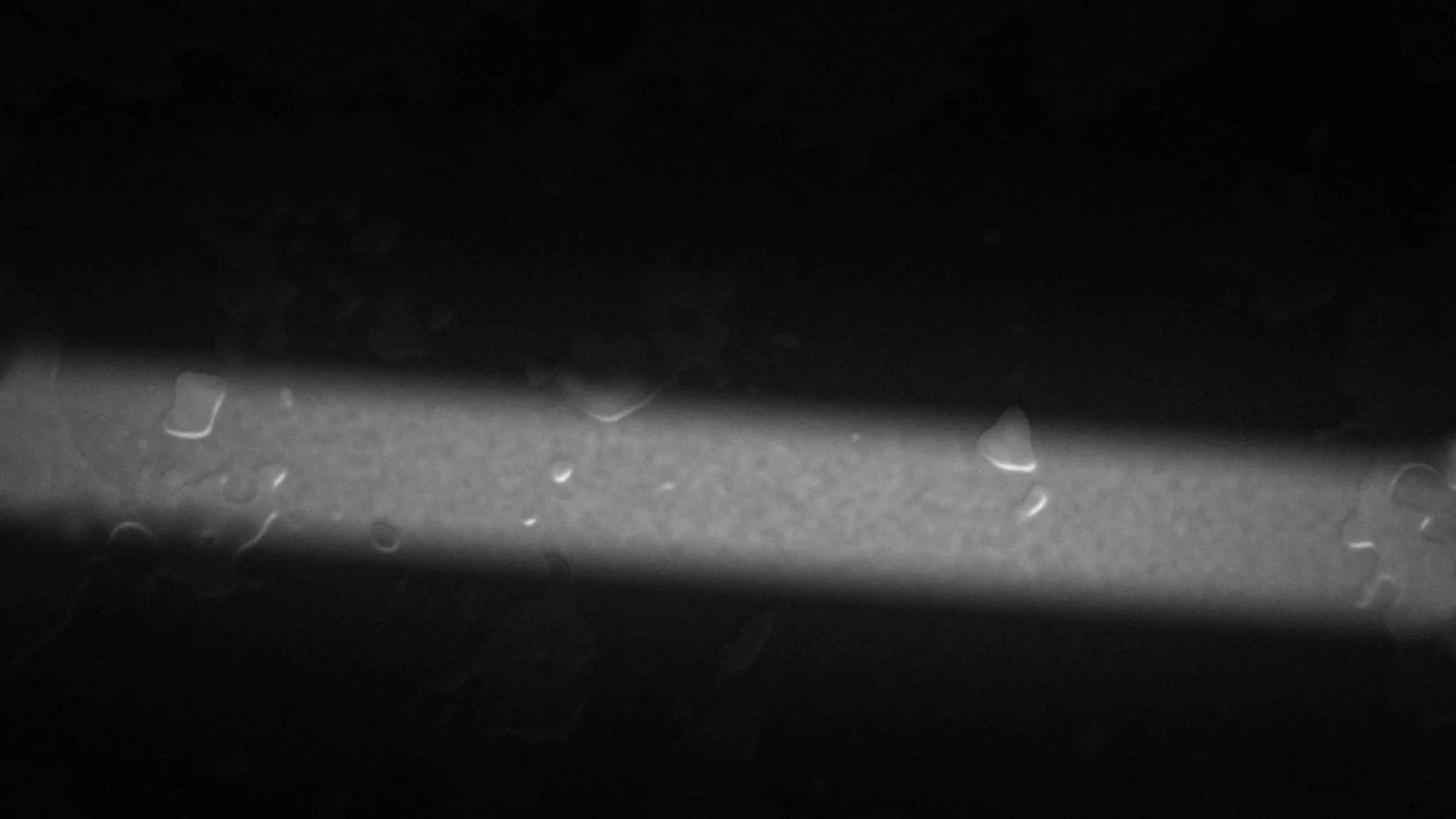 Before ceramic coating: water lying flat in sheets on a bare black panel